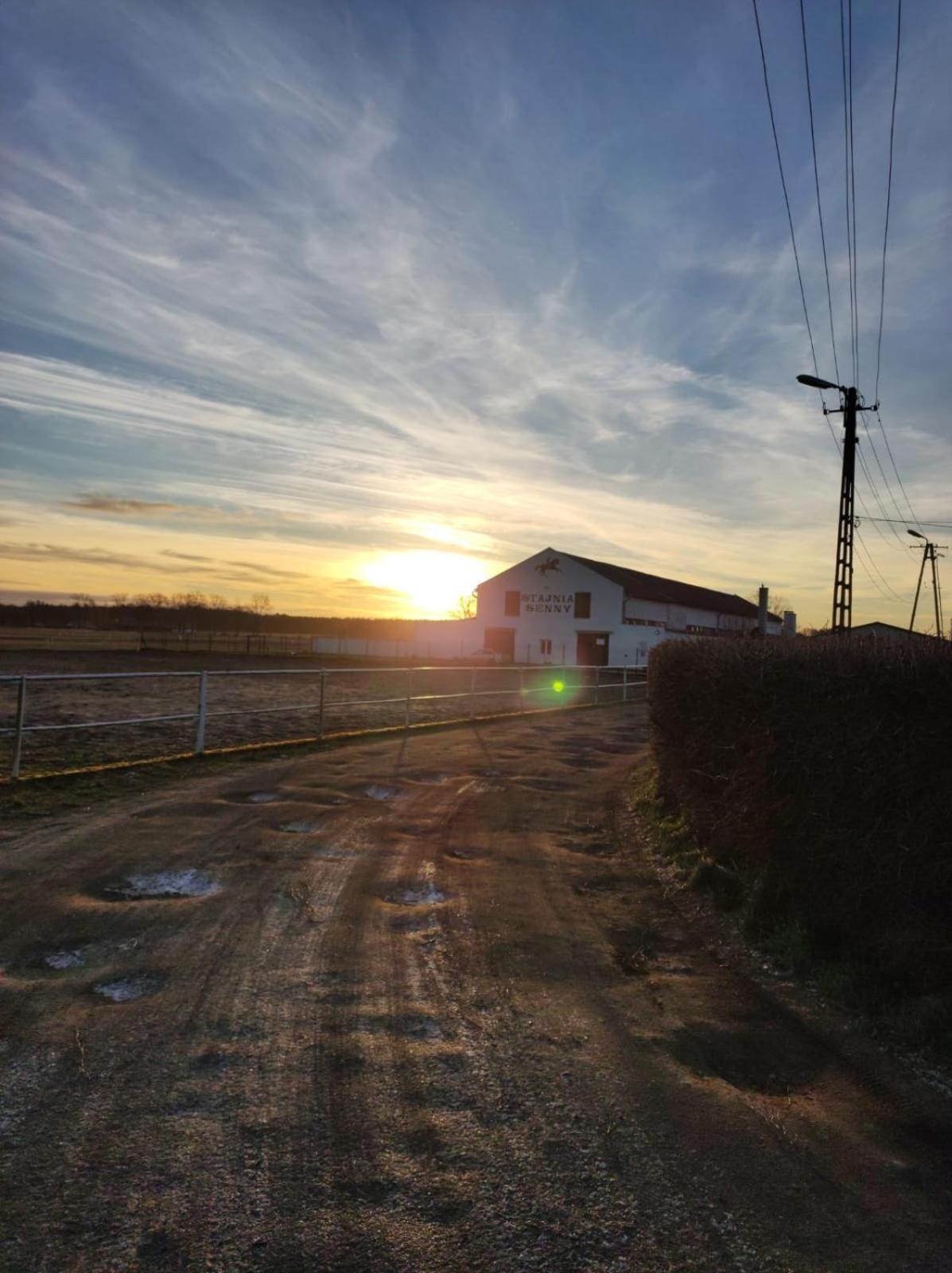 Noclegi Przy Stajni Senny - Horse Riding Leba Exterior foto
